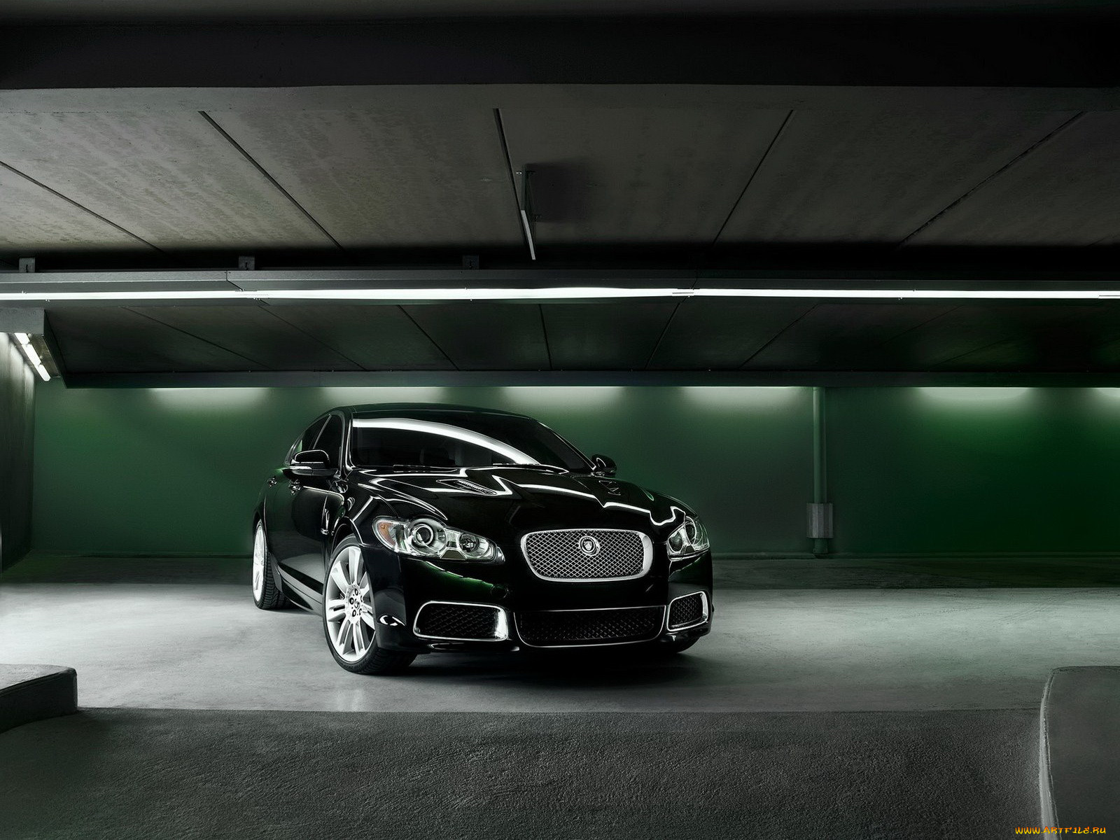 , jaguar